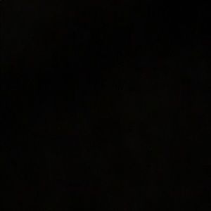 Meet your Posher, Daisy